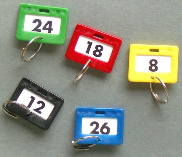 Keytabs & Rings Pack Of 100