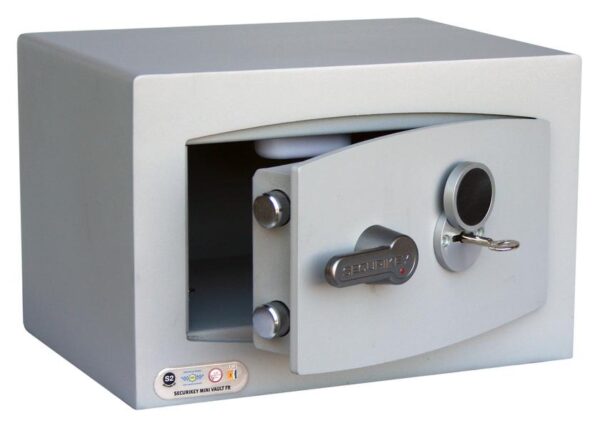 Mini Vault S2 Gold FR 0 Key Locking
