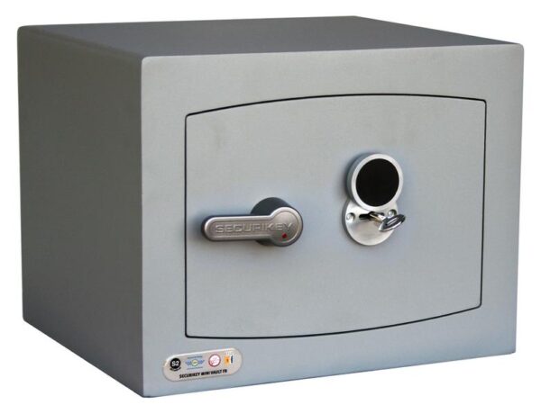 Mini Vault S2 Gold FR 1 Key Locking