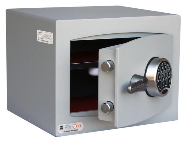 Mini Vault S2 Silver 1 Electronic